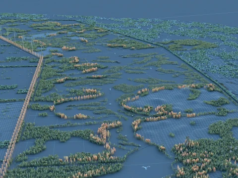 Wet land 3D Model