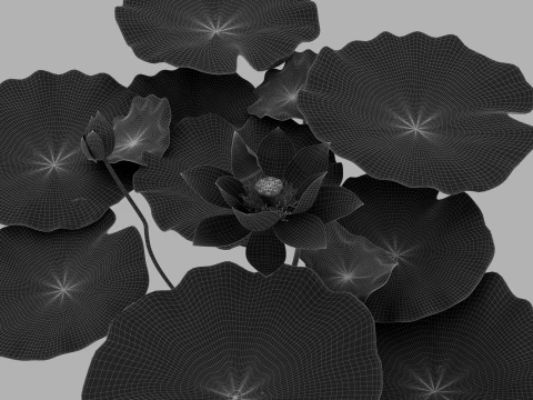 Lotus 3D Model