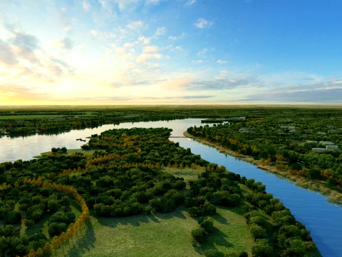Wetland 3D Model