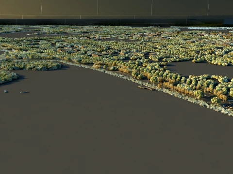 Wetland 3D Model