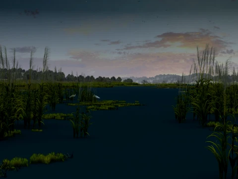 Wetland park 3D Model