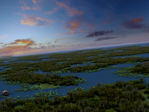 Wetland park 3D Model