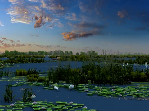 Wetland park 3D Model