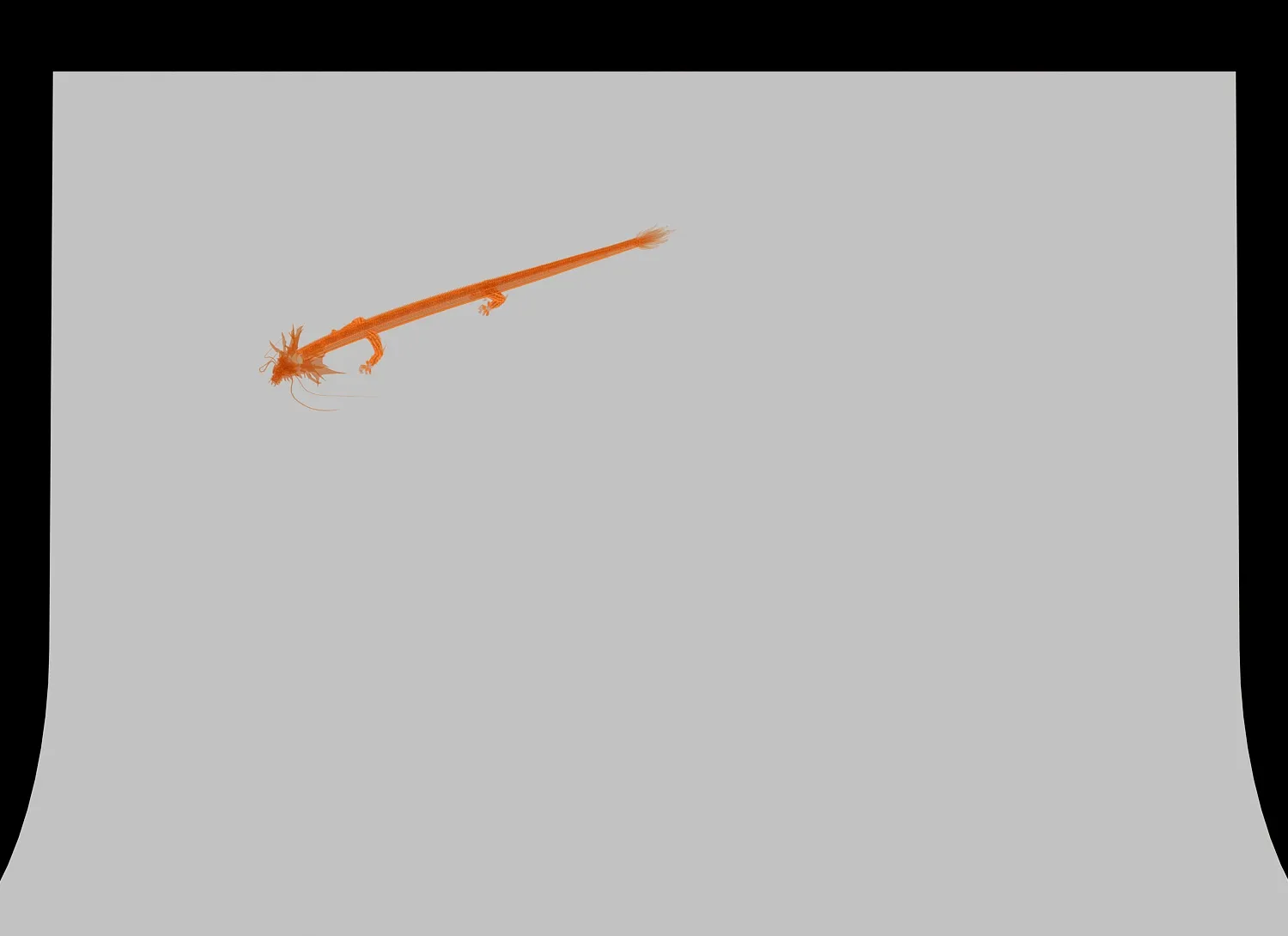 The dragon and the Phoenix 3D Model .c4d .max .obj .3ds .fbx .stl .blend 