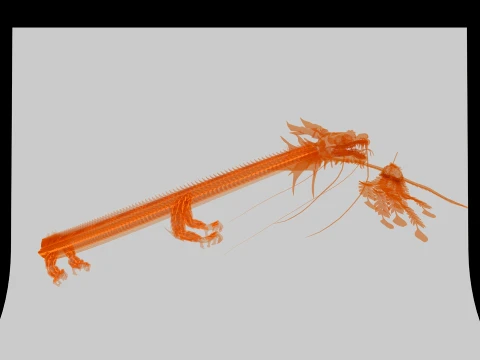 The dragon and the Phoenix 3D Model