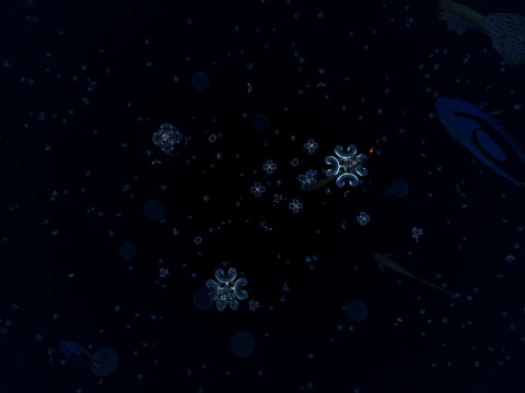 The bottom of the sea Modèle 3D