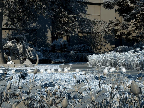 Courtyard 3D Model