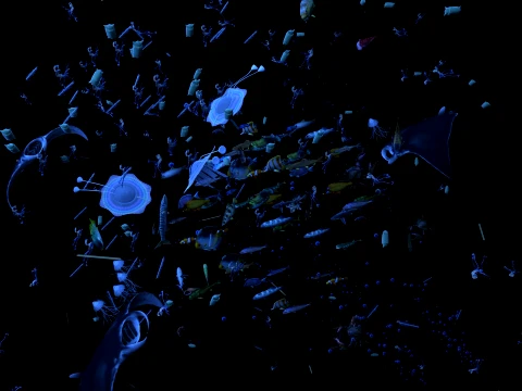 School of fish 3D Model