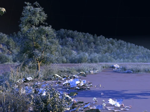 Park 3D Model