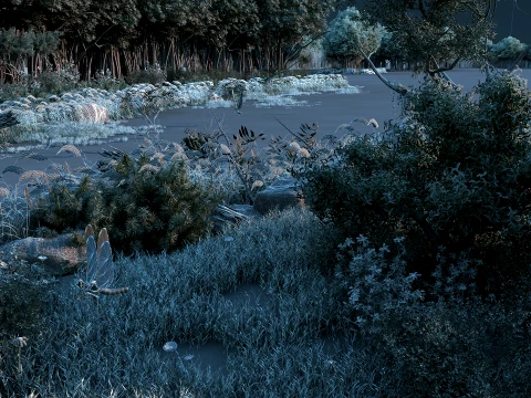 Tropical rainforest 3D Model
