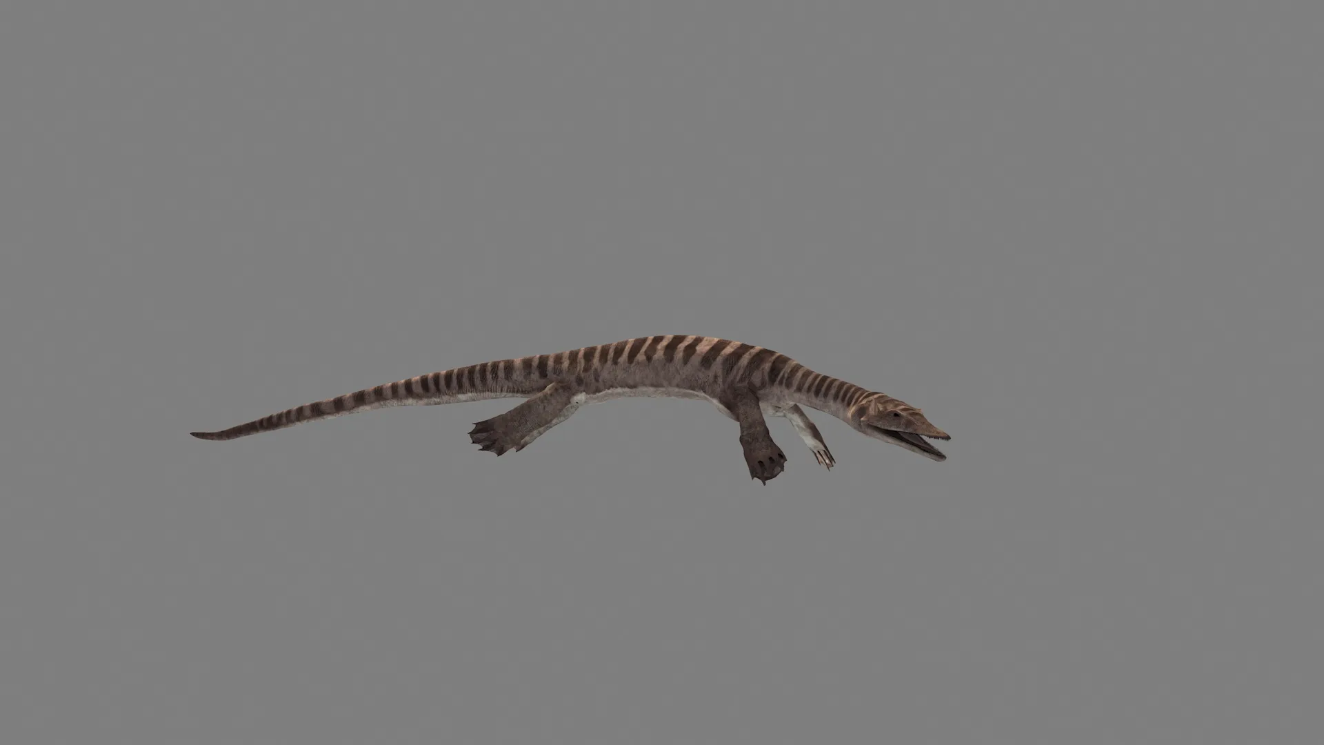 Anshun Dragon 3D Model .c4d .max .obj .3ds .fbx .stl .blend 