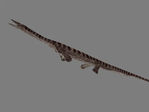Anshun Dragon 3D Model