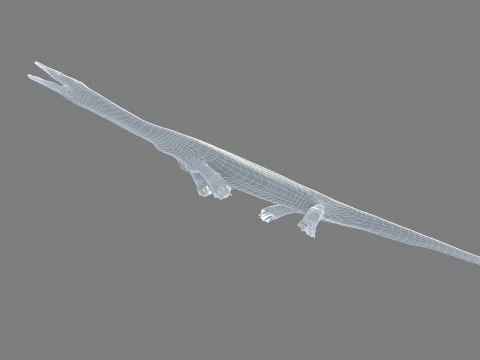 Anshun Dragon 3D Model