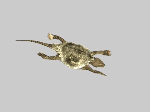 Stigmathodon 3D 모델