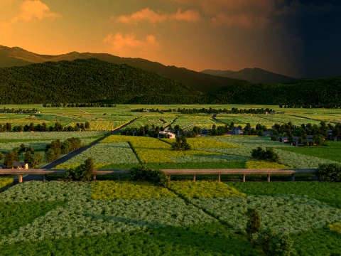 Field 3D Model
