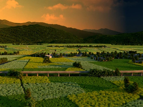 Field 3D Model
