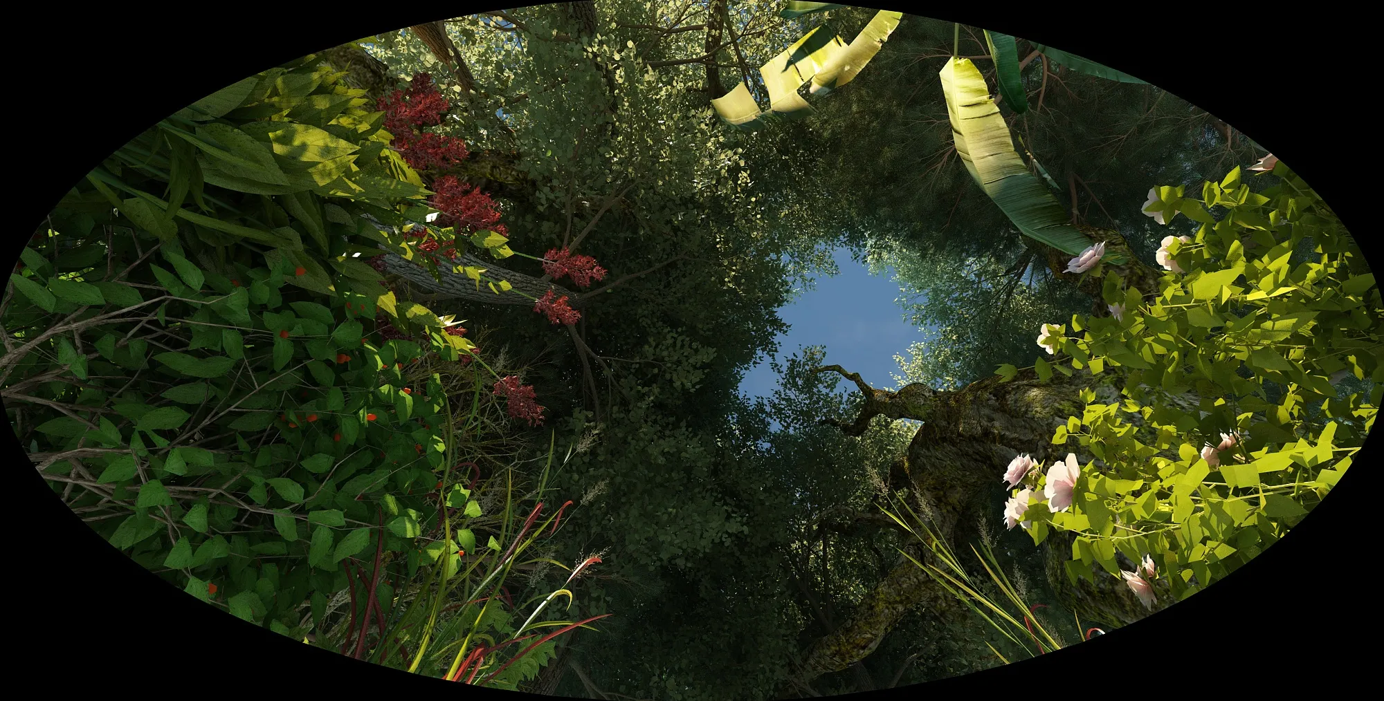 Rainforest 3D Model .c4d .max .obj .3ds .fbx .stl .blend