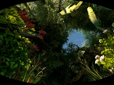 Rainforest 3D 모델