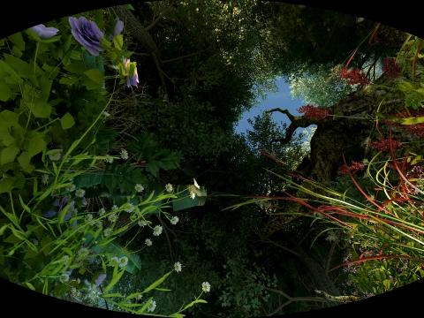 Rainforest 3D Model