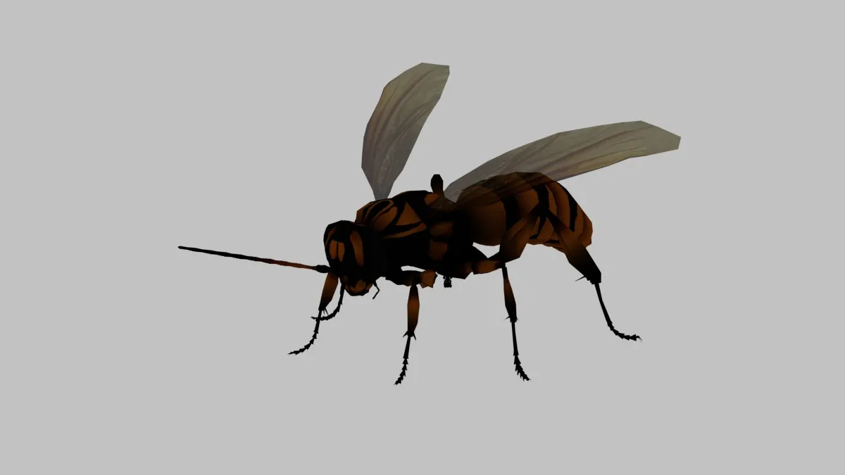 Wasp 3D Model .c4d .max .obj .3ds .fbx .stl .blend
