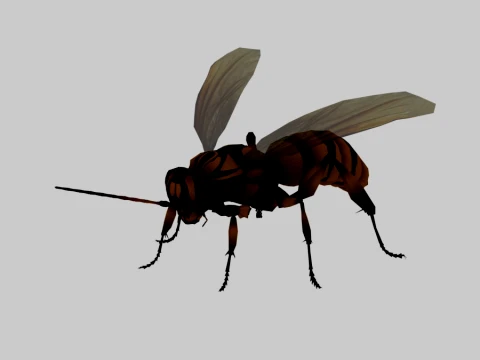 Wasp 3D 모델