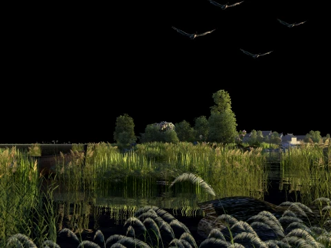 Wetland Modello 3D