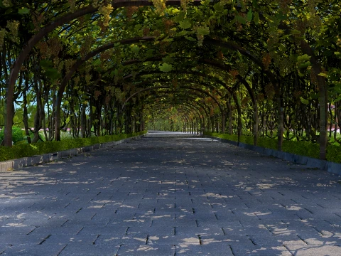 Grape trellis 3D Model