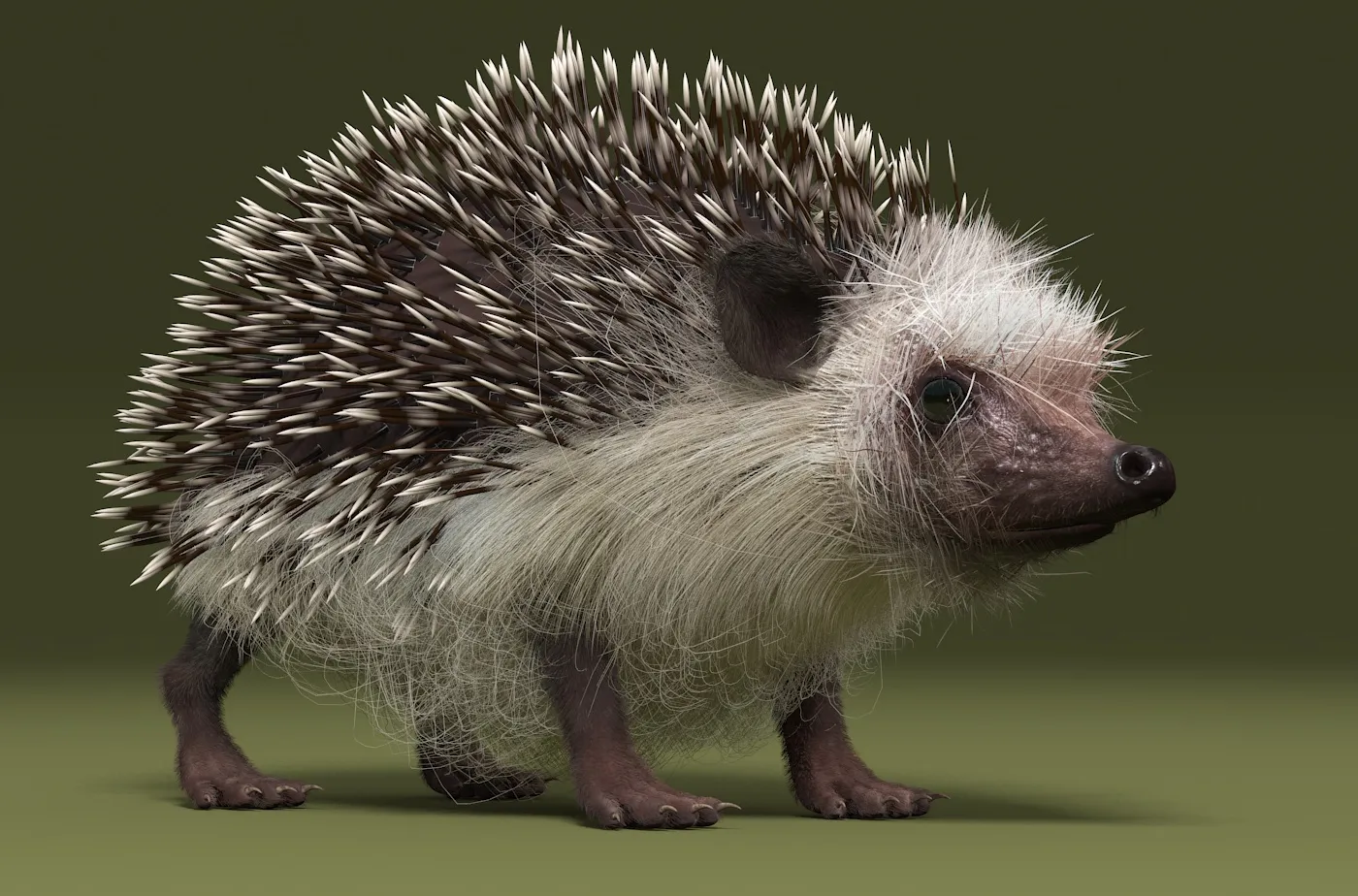 Hedgehog 3D Model .c4d .max .obj .3ds .fbx .stl .blend 