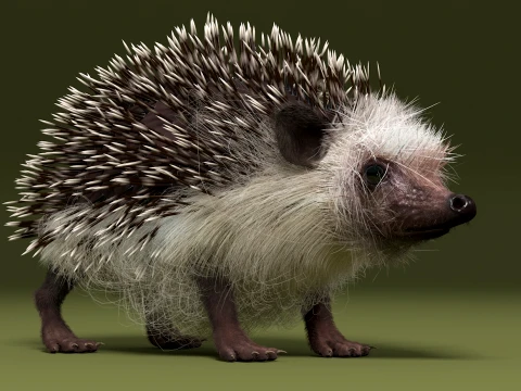 Hedgehog Modèle 3D