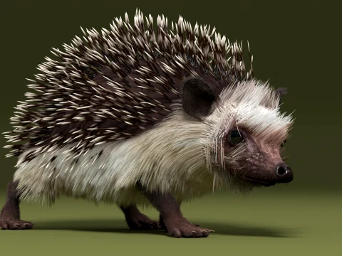 Hedgehog 3D Model
