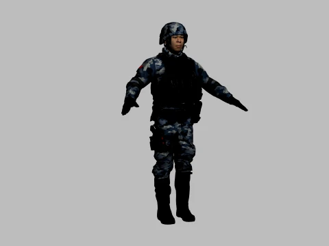 Spchinese 3D Model