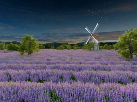 Lavender 3D Model