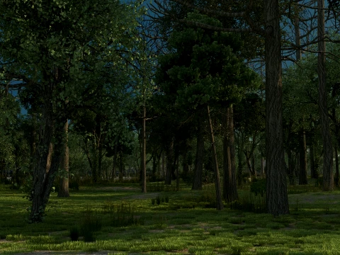 Forest Modèle 3D