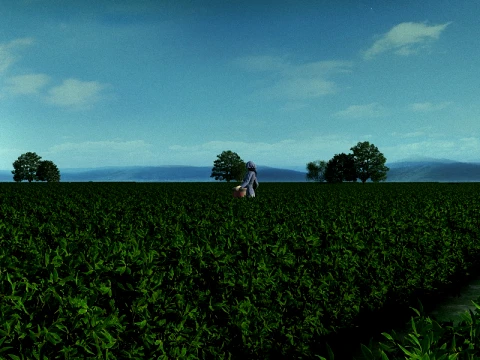 Tea Garden Modèle 3D