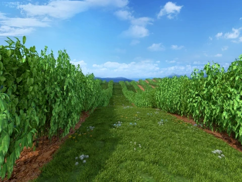 Orchards Modèle 3D