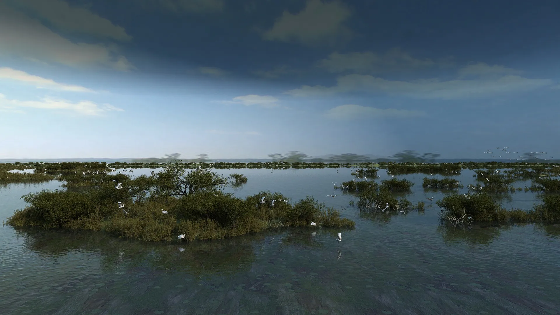 Wetland 3D Model .c4d .max .obj .3ds .fbx .stl .blend 