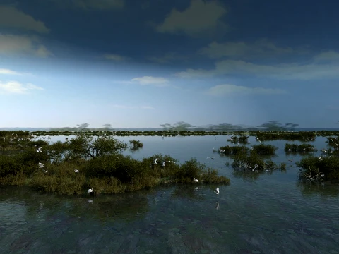 Wetland Modèle 3D