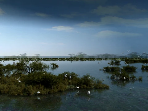 Wetland 3D Model