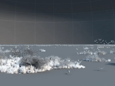Wetland 3D Model