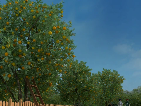 Orchards 3D Model