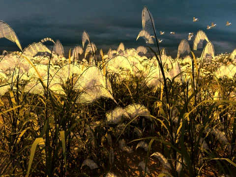 Reeds Modèle 3D