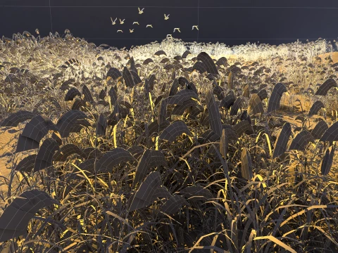 Reeds 3D Model