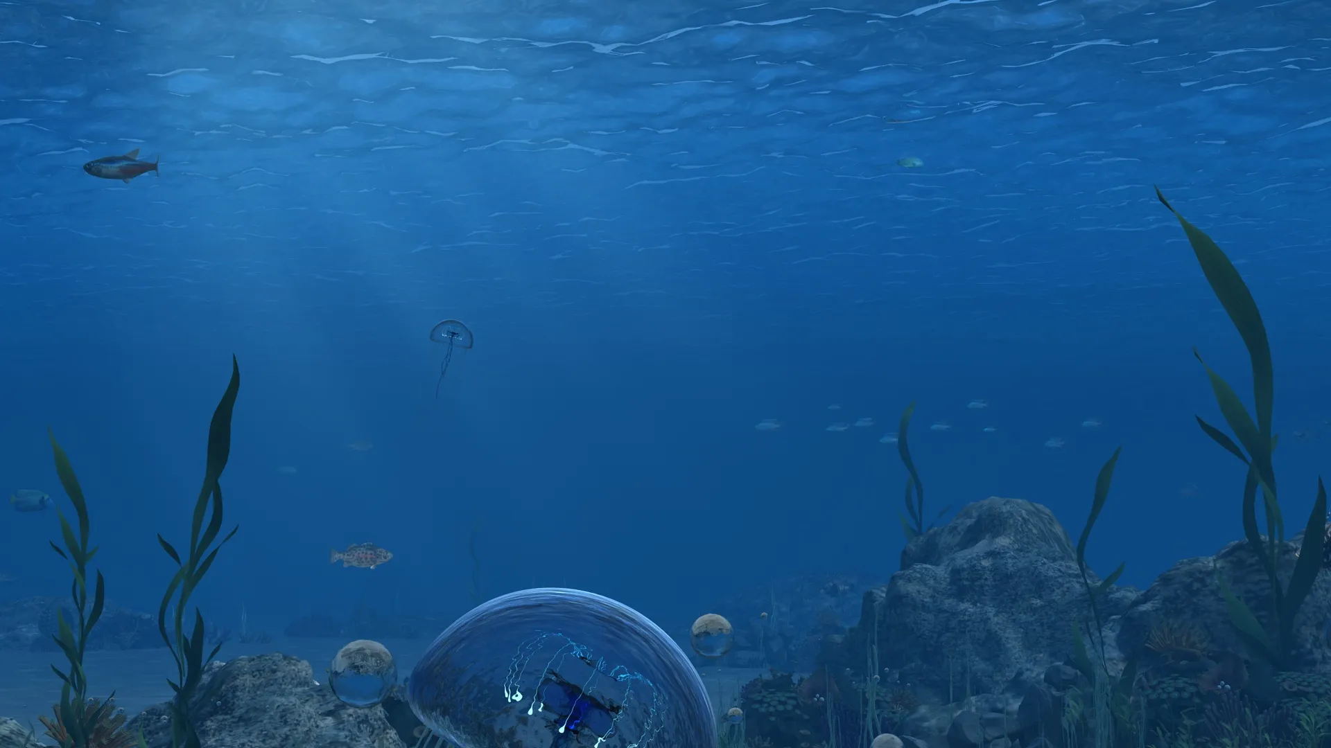 Jellyfish 3D Model .c4d .max .obj .3ds .fbx .stl .blend 