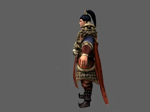 The general 3D Model