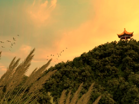 Temple 3D Model