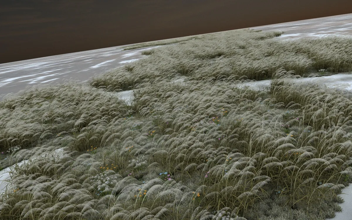 Lake surface 3D Model .c4d .max .obj .3ds .fbx .stl .blend 