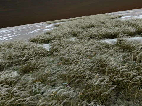 Lake surface 3D Model