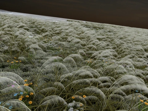 Lake surface 3D Model