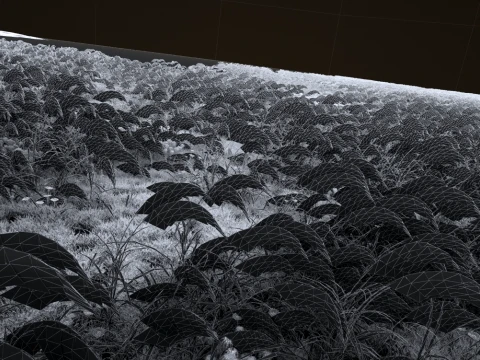 Lake surface 3D Model