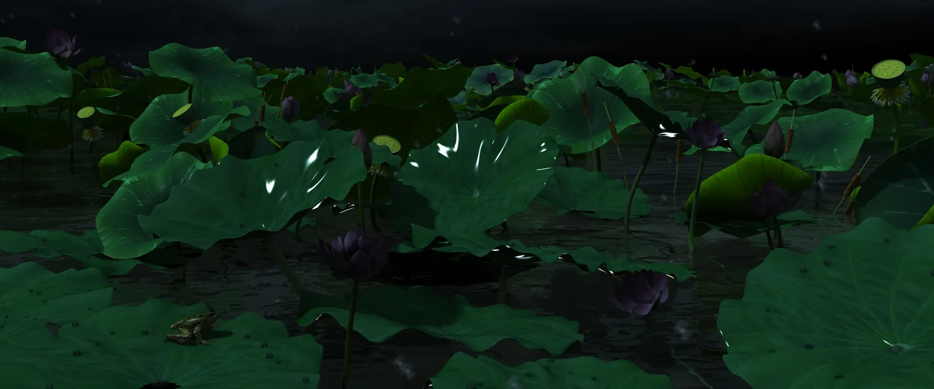 Lotus Pond 3D Model .c4d .max .obj .3ds .fbx .stl .blend 